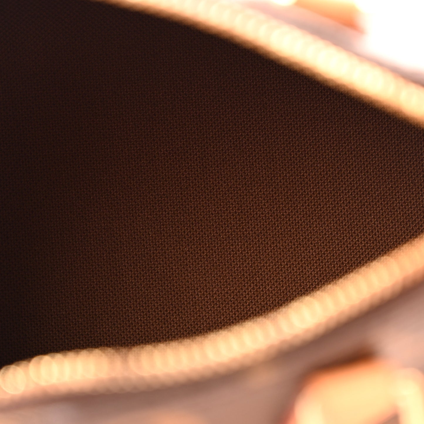 Monogram Nano Speedy