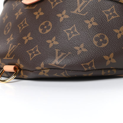 Louis Vuitton Monogram Bumbag 10 of 11