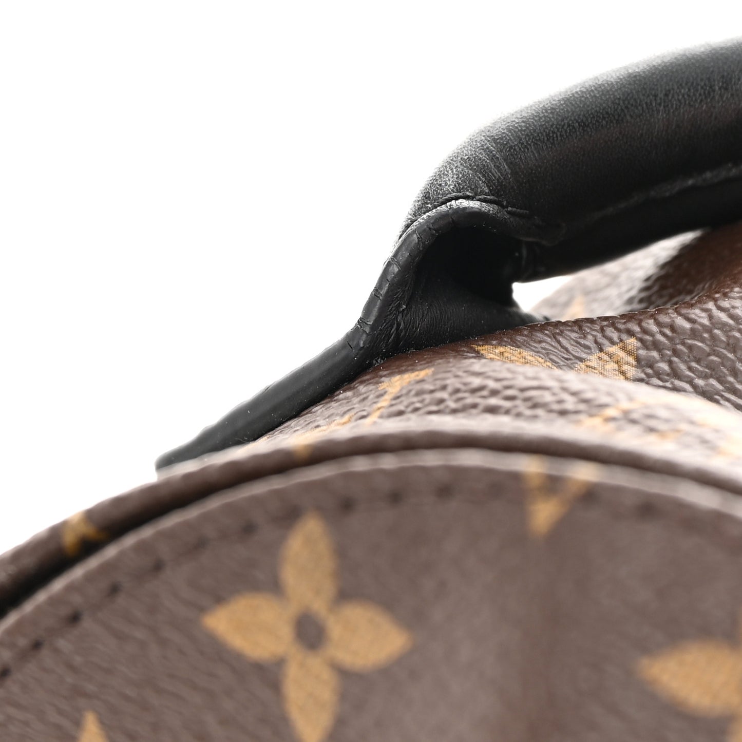 Monogram Palm Springs Backpack Mini