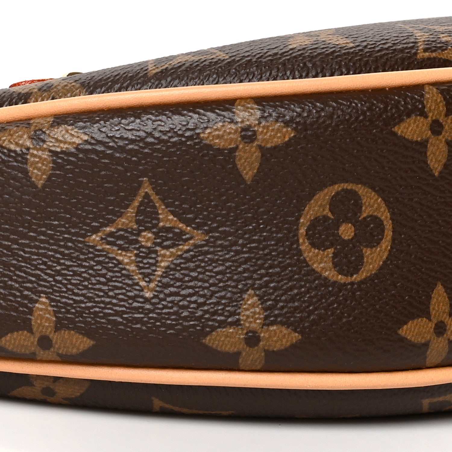 Louis Vuitton Monogram Loop 8 of 9