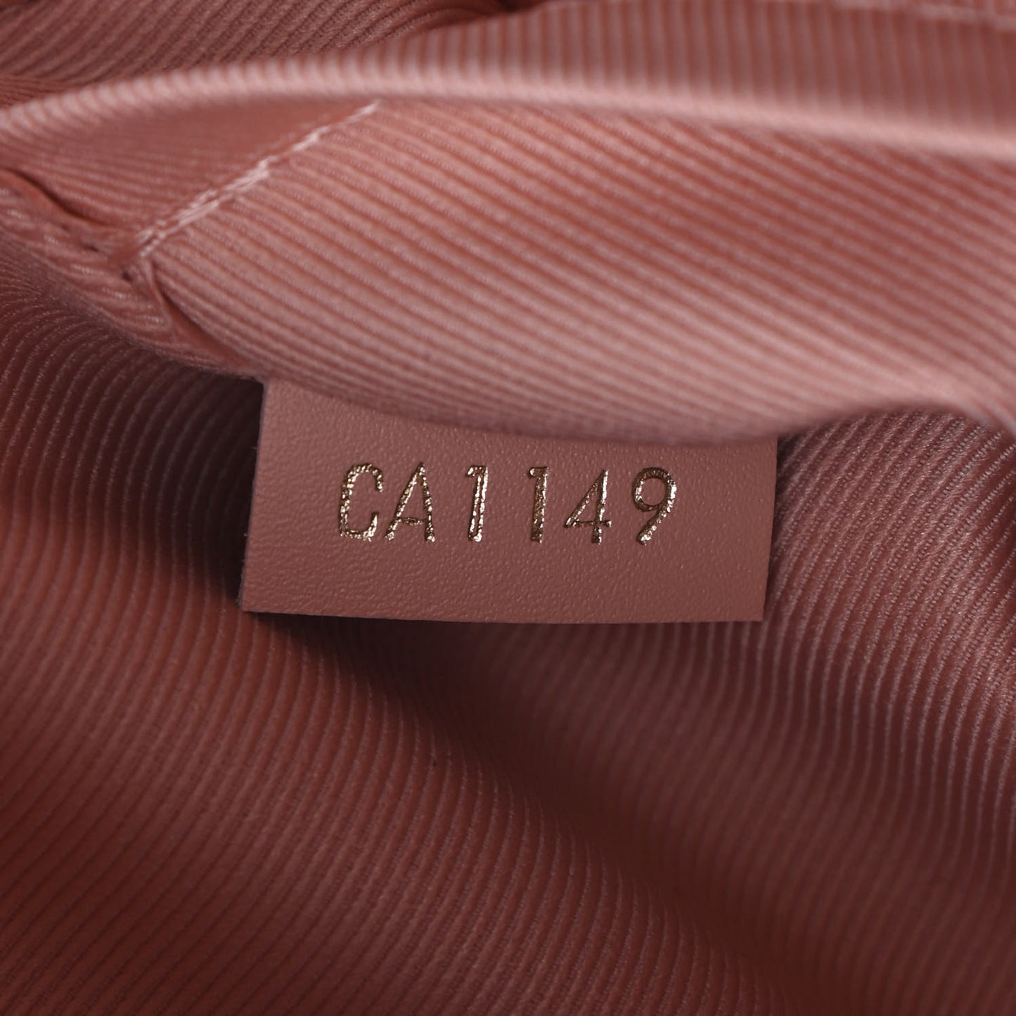 Damier Ebene Santa Monica Venus