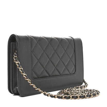 Chanel Sheepskin Quilted Mademoiselle Vintage Wallet On Chain WOC Ruthenium 3 of 12