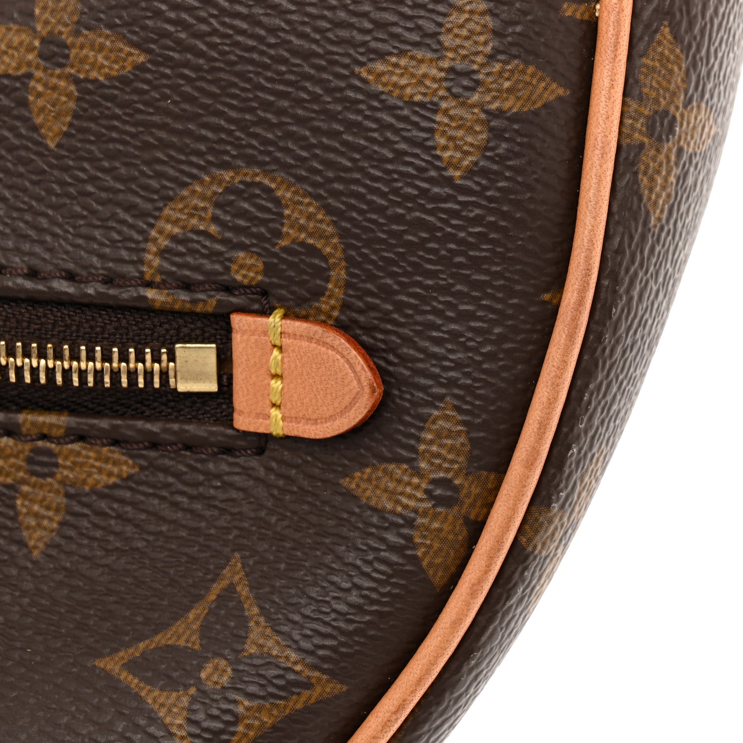 Louis Vuitton Monogram Loop 12 of 15