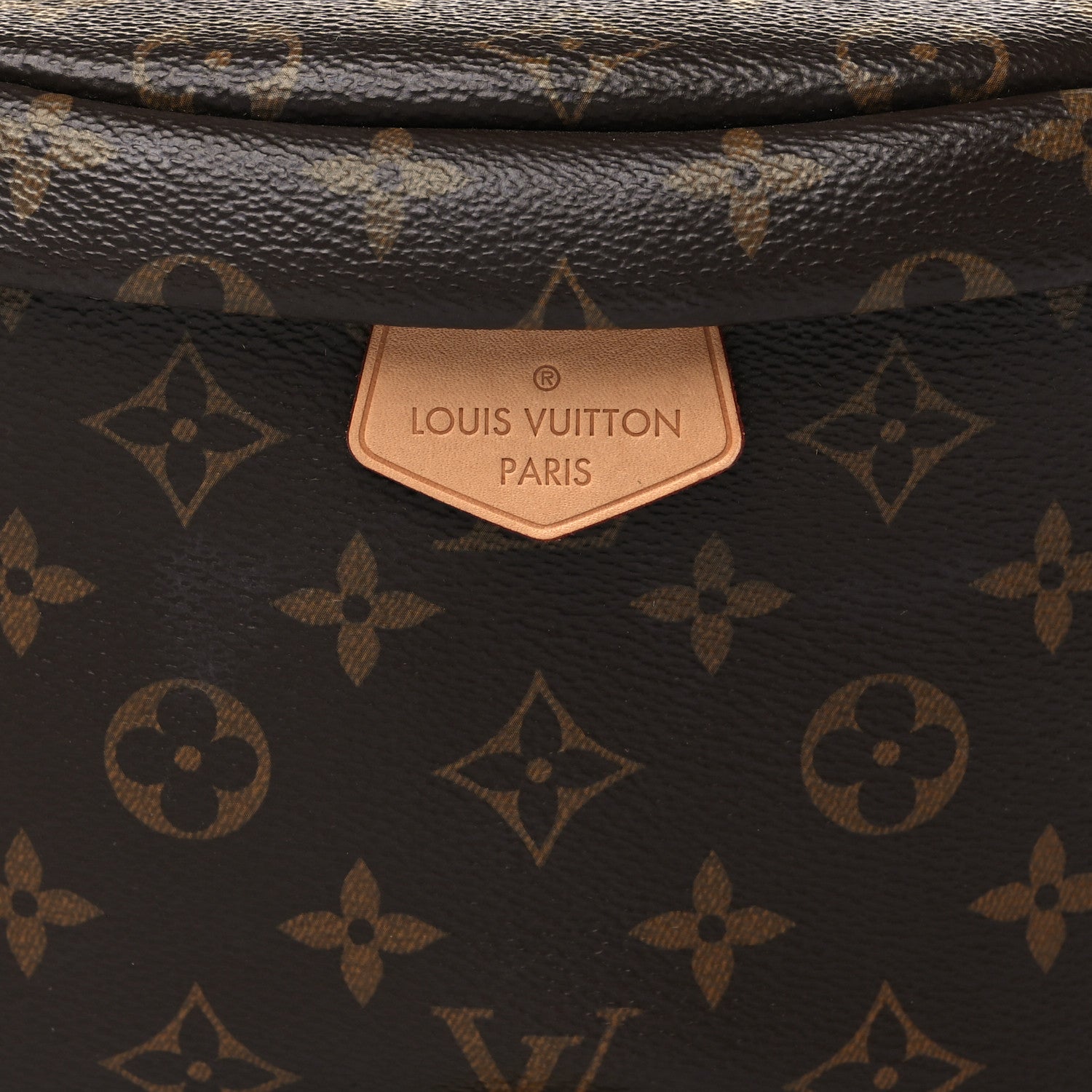 Louis Vuitton Monogram Bumbag 7 of 9