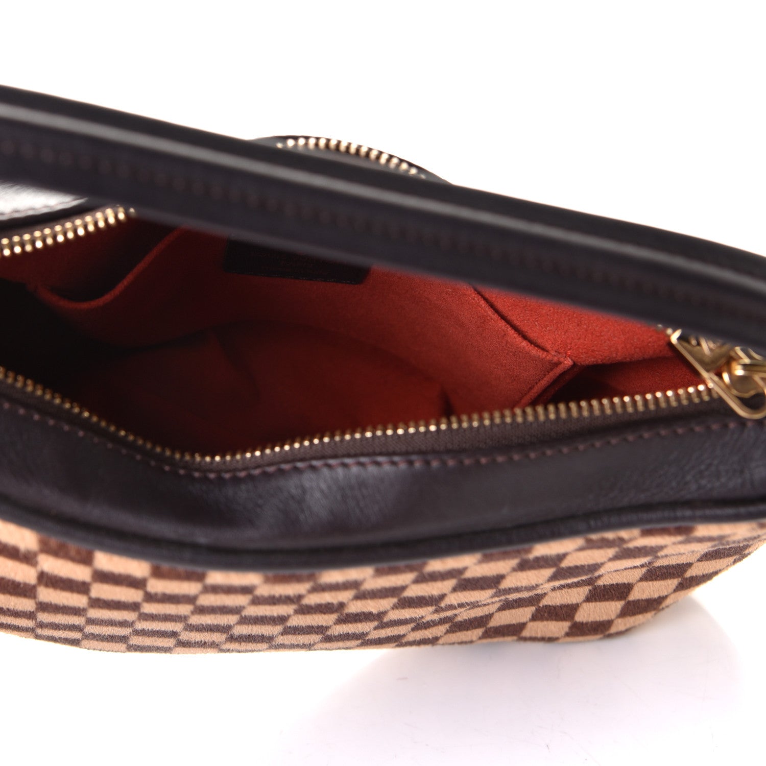 Louis Vuitton Calf Hair Damier Sauvage Tigre 4 of 6