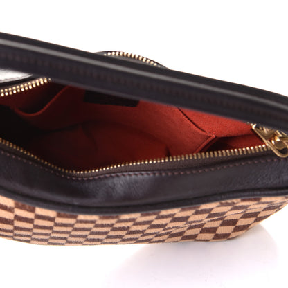 Louis Vuitton Calf Hair Damier Sauvage Tigre 4 of 6