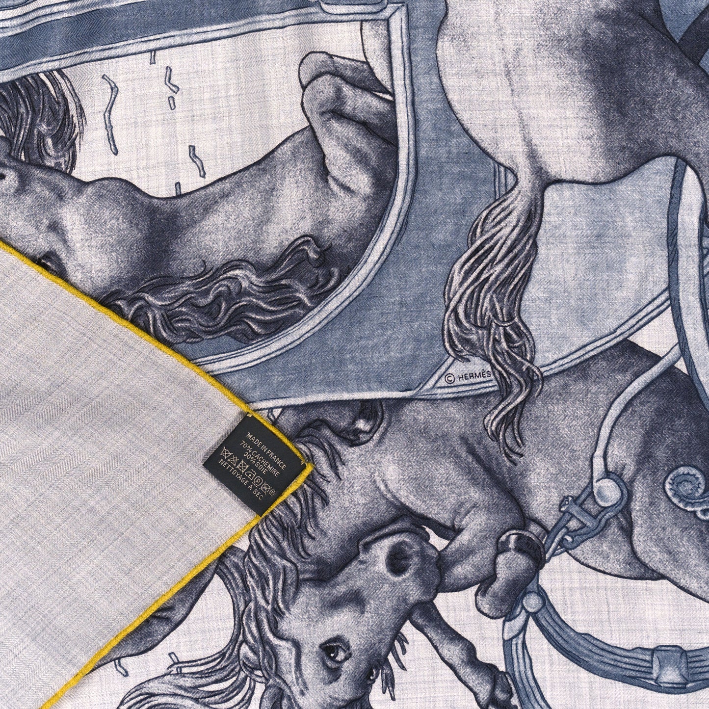 Cashmere Silk Grand Carrosse Royal Scarf 100 Gris Chine Gris Jaune