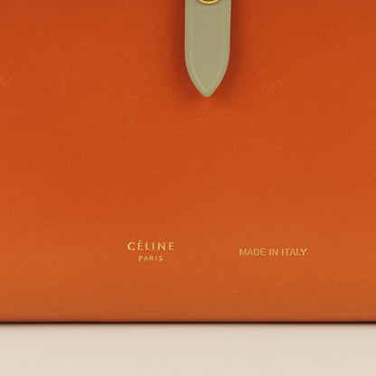 Celine Shiny Calfskin Palmelato Large Multifunction Strap Wallet Tawny 4 of 9