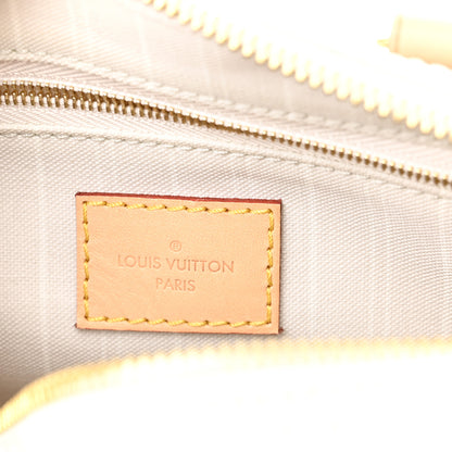 Louis Vuitton Monogram Giant By The Pool Speedy Bandouliere 25 Brume 6 of 10