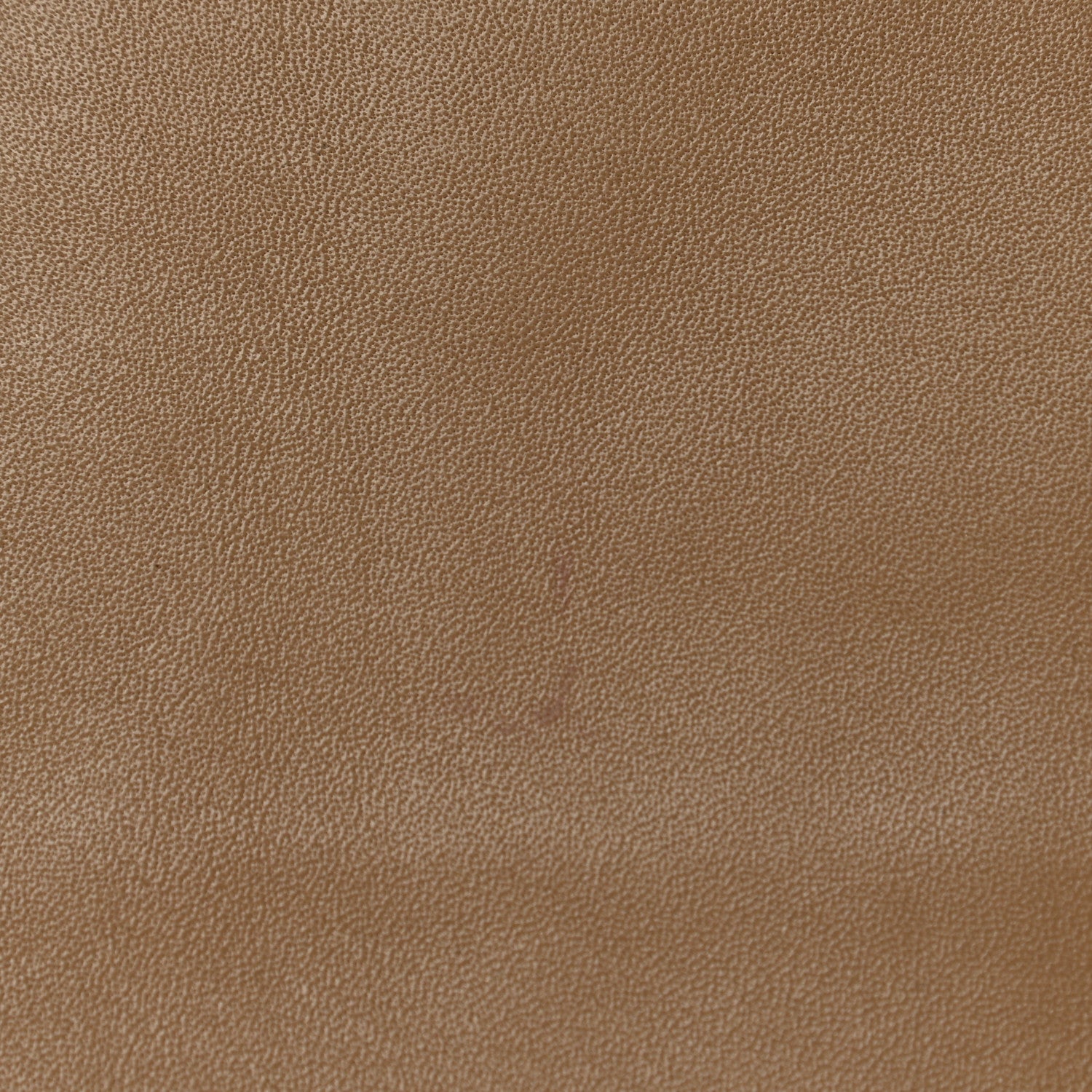 Loewe Calfskin T Pouch Mink 11 of 11