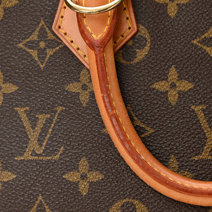 Louis Vuitton Monogram Alma PM 22 of 24