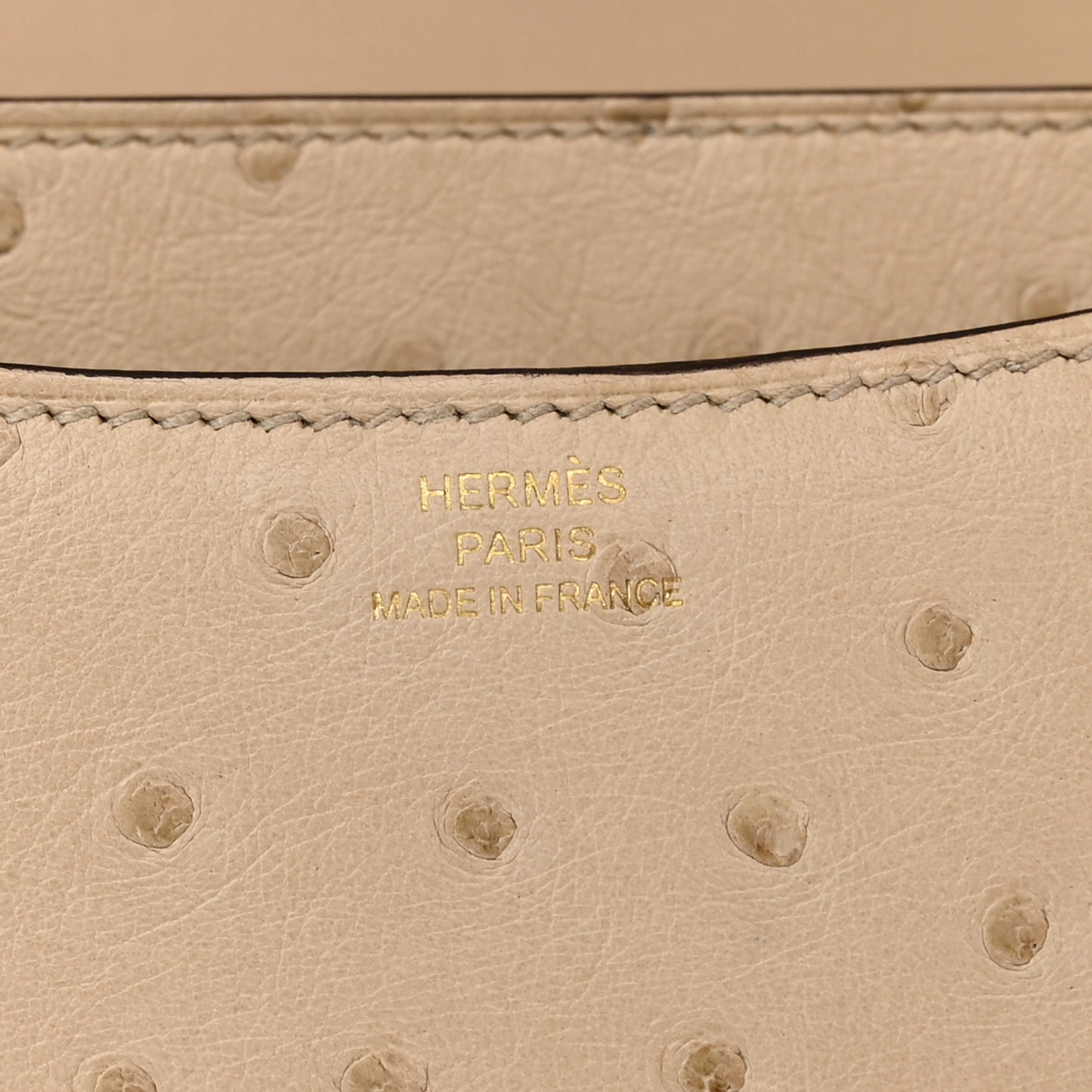 Ostrich Constance 18 Parchemin