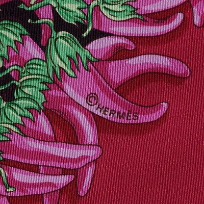 Hermes Silk Aux Pays Des Epices Scarf 90 4 of 5
