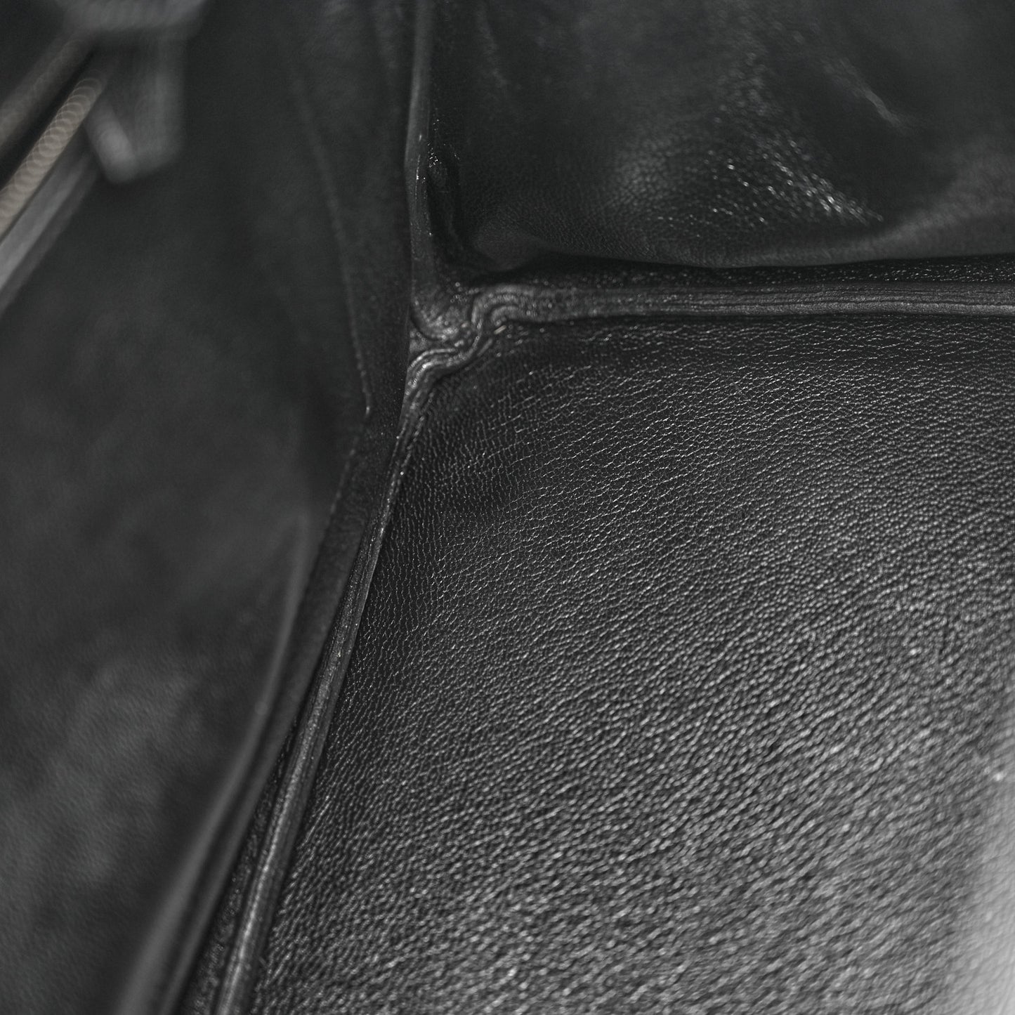 Chevre de Coromandel Birkin 35 Black