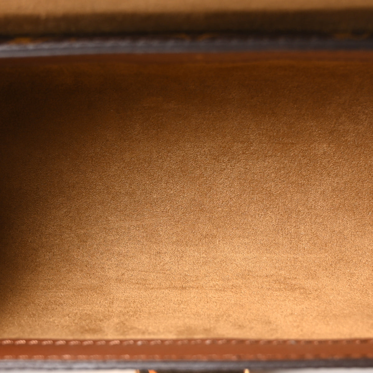 Monogram Papillon Trunk