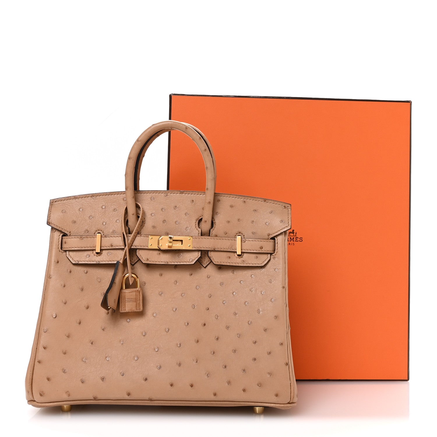 Hermes Ostrich Birkin 25 Chai 10 of 10