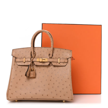 Hermes Ostrich Birkin 25 Chai 10 of 10