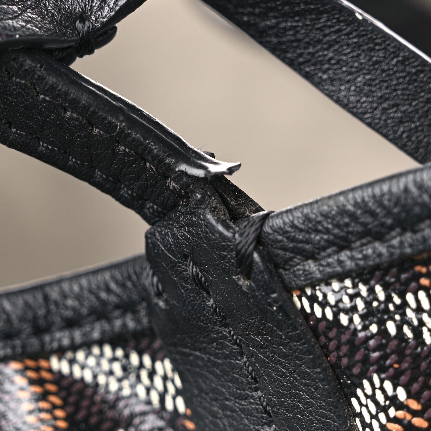 Goyard Goyardine Saint Louis GM Black 18 of 20