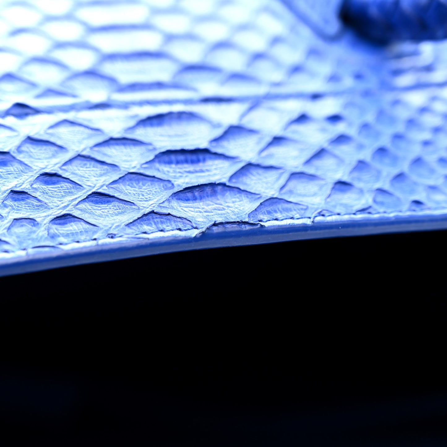 Snakeskin Medium Phantom Luggage Blue