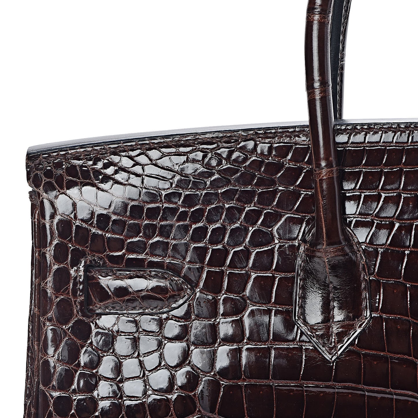 Shiny Porosus Crocodile Birkin 35 Cocoan