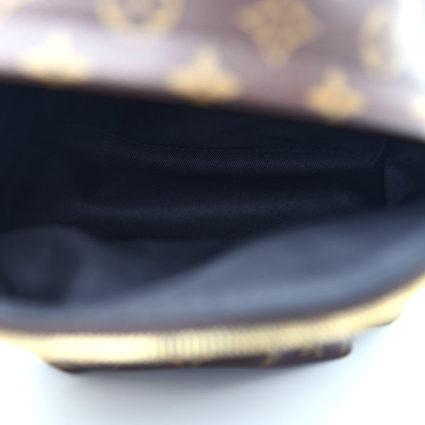 Monogram Palm Springs Backpack PM