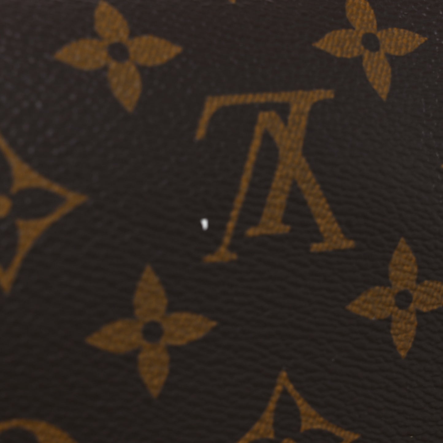 Monogram Side Trunk