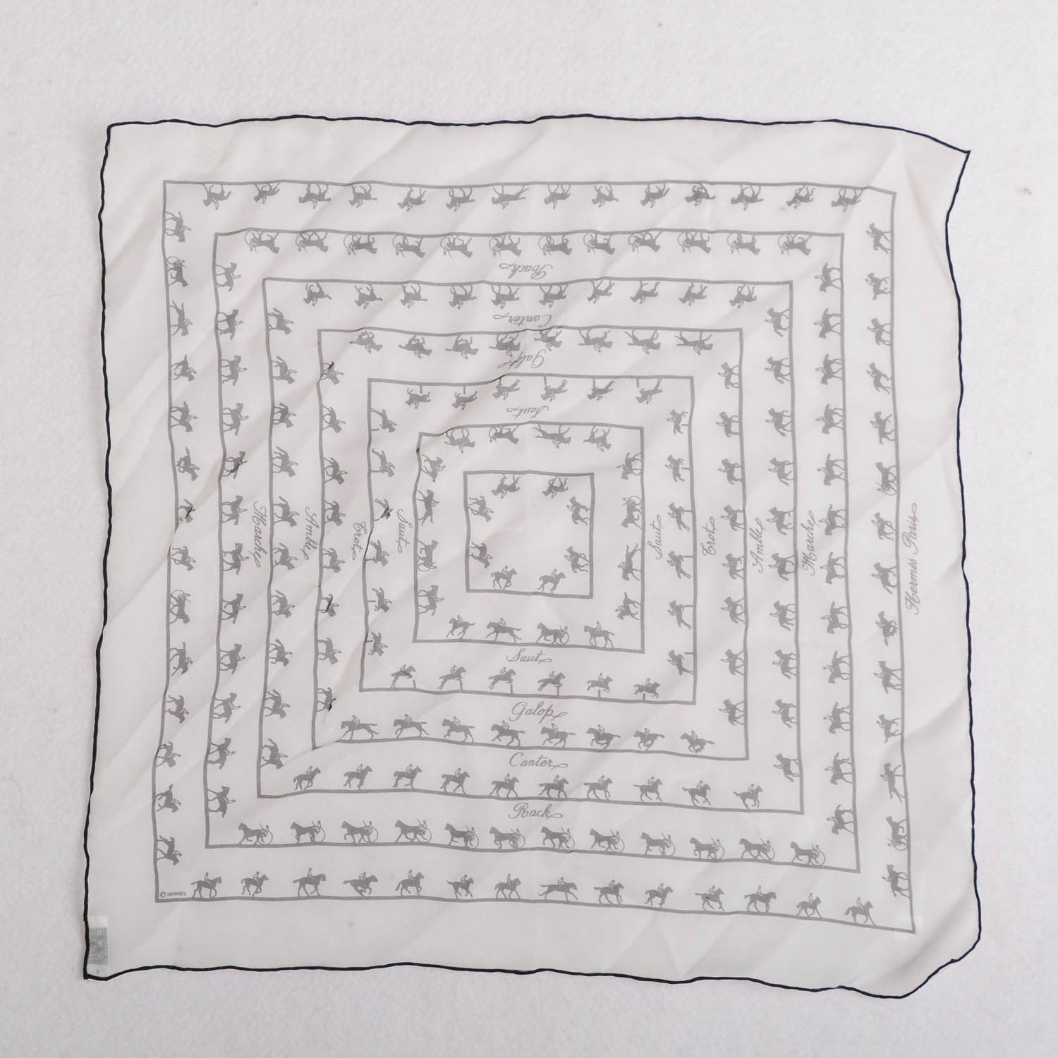 Hermes Silk Allures Pocket Square Scarf 2 of 4