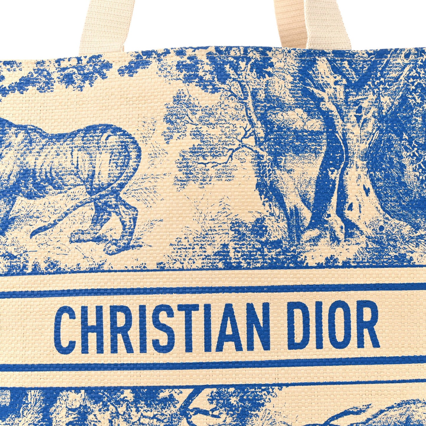 Straw Dioriviera Tote Blue