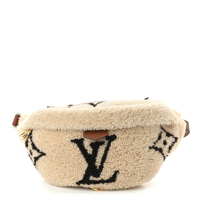 Louis Vuitton Monogram Teddy Bumbag 1 of 9