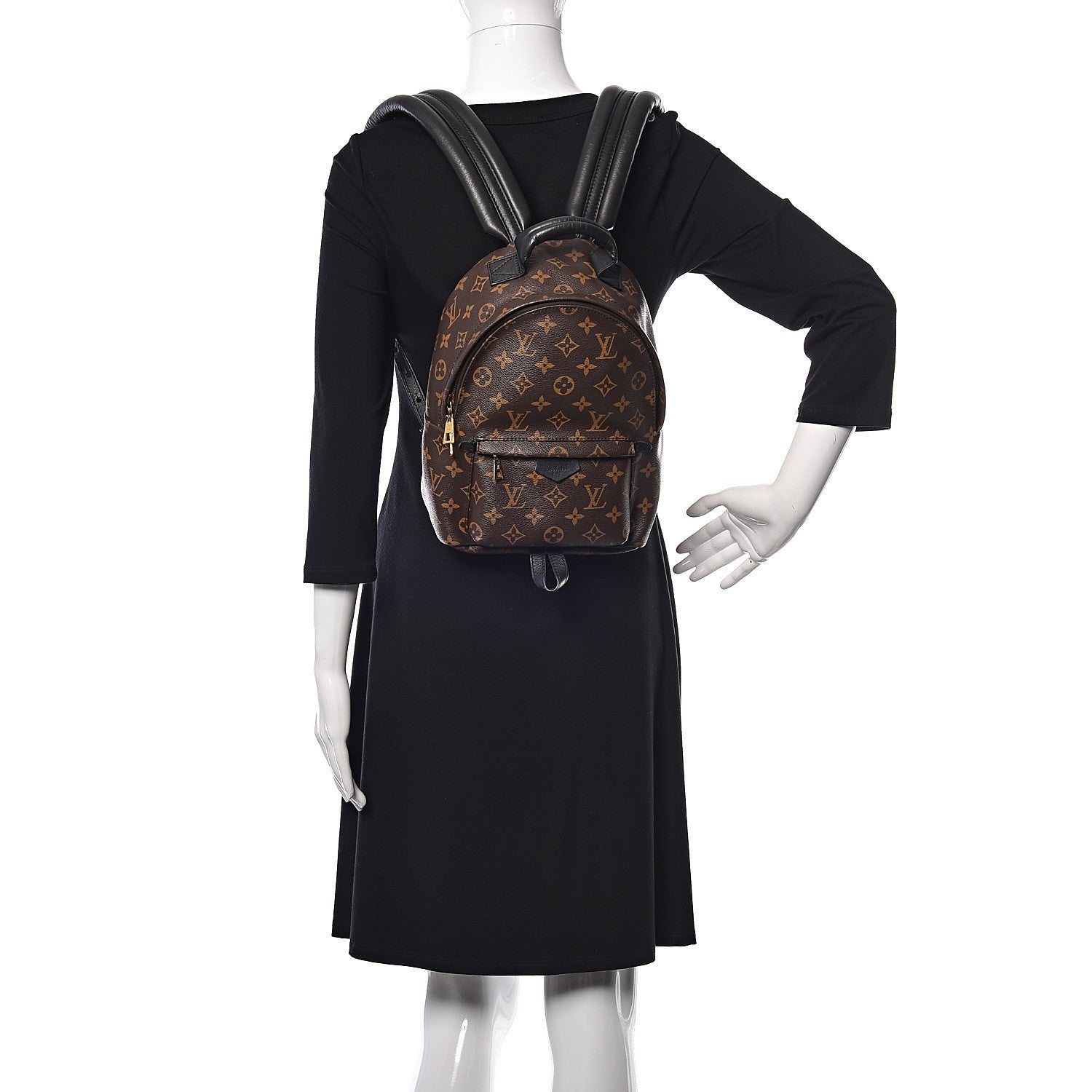 Louis Vuitton Monogram Palm Springs Backpack PM 2 of 8