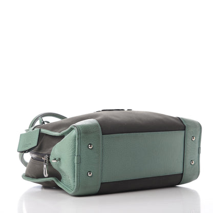 Loewe Canvas Amazona Grey 3 of 8