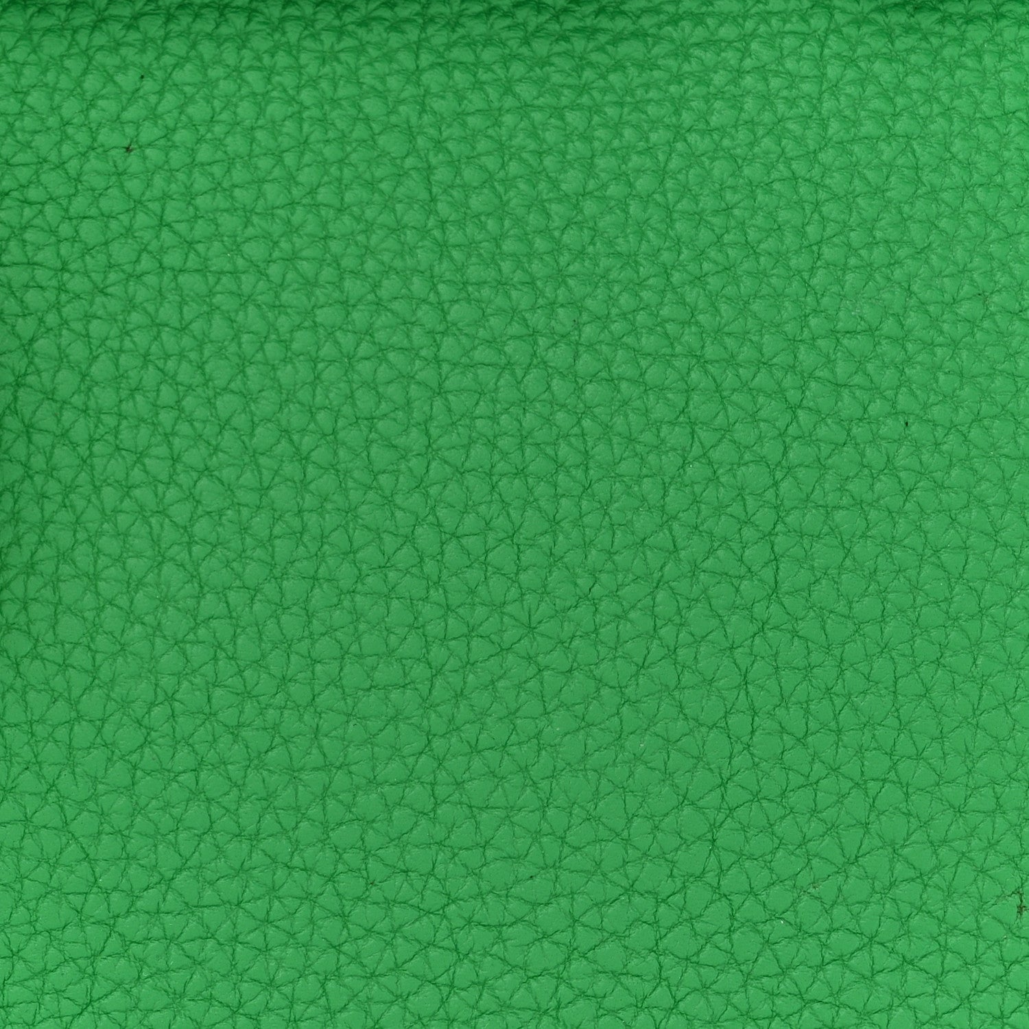 Hermes Togo Birkin 25 Bambou 8 of 13