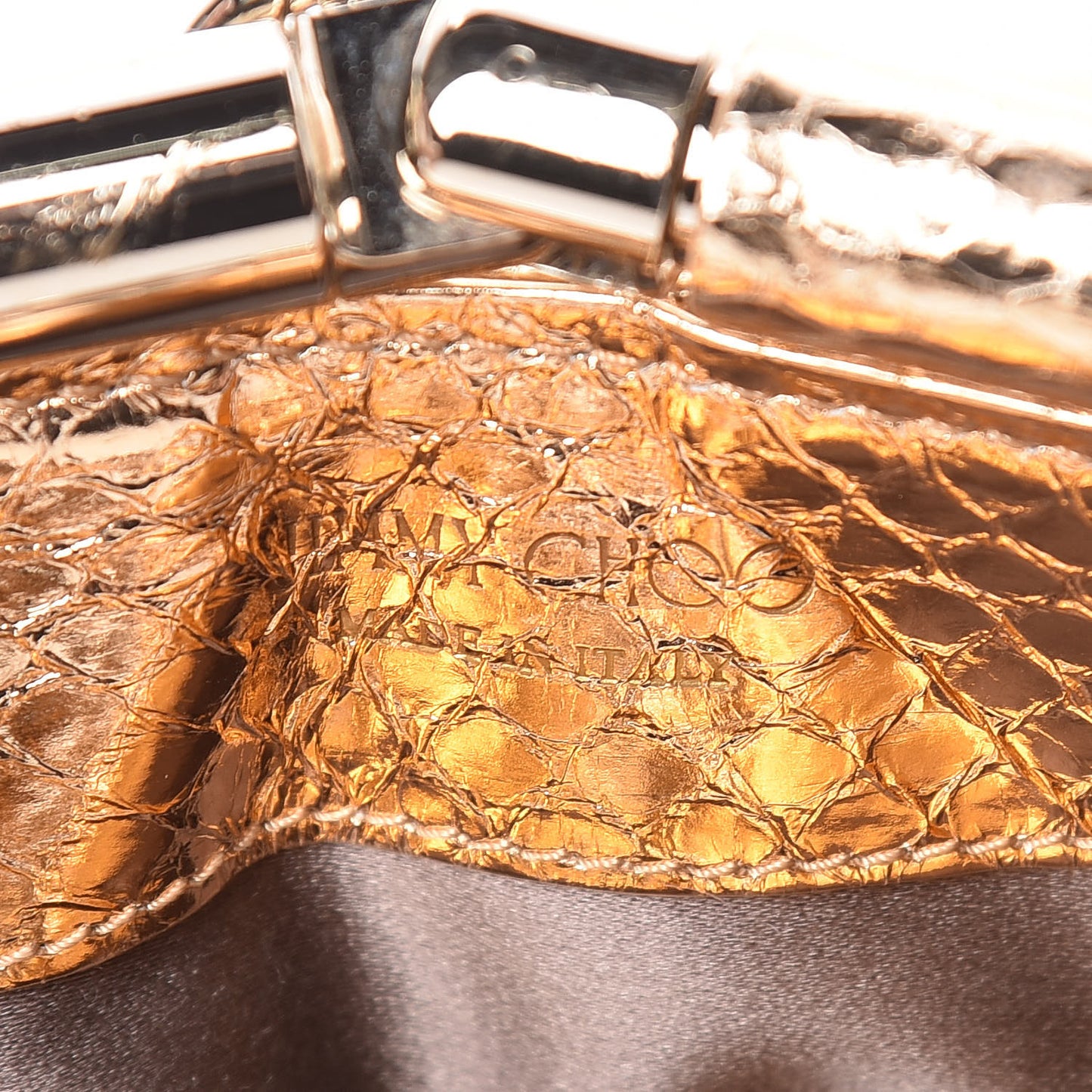 Metallic Watersnake Cadence Clutch Nude