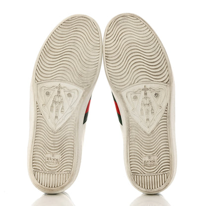 Gucci Calfskin Crocodile Web Mens Ace Sneakers 9.5 White Green 5 of 10