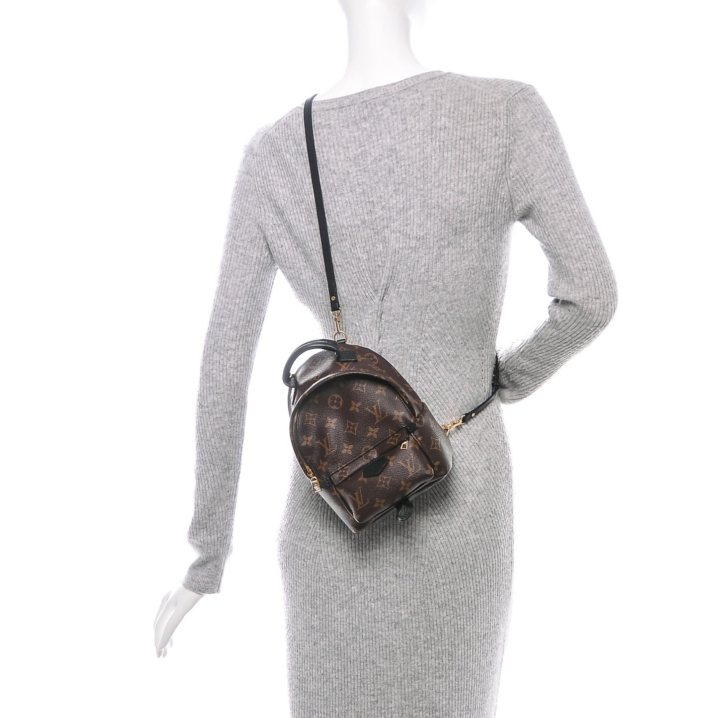 Monogram Palm Springs Backpack Mini