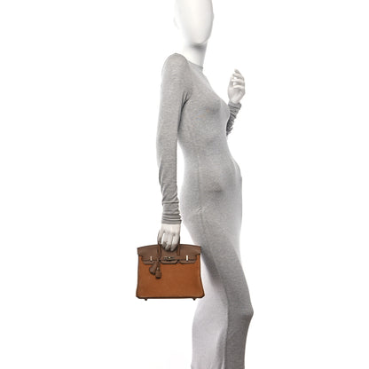 Hermes Veau Doblis Swift Grizzly Birkin 25 Alezan 2 of 12