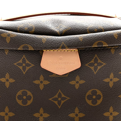 Louis Vuitton LOUIS VUITTON Monogram Bumbag 7 of 10