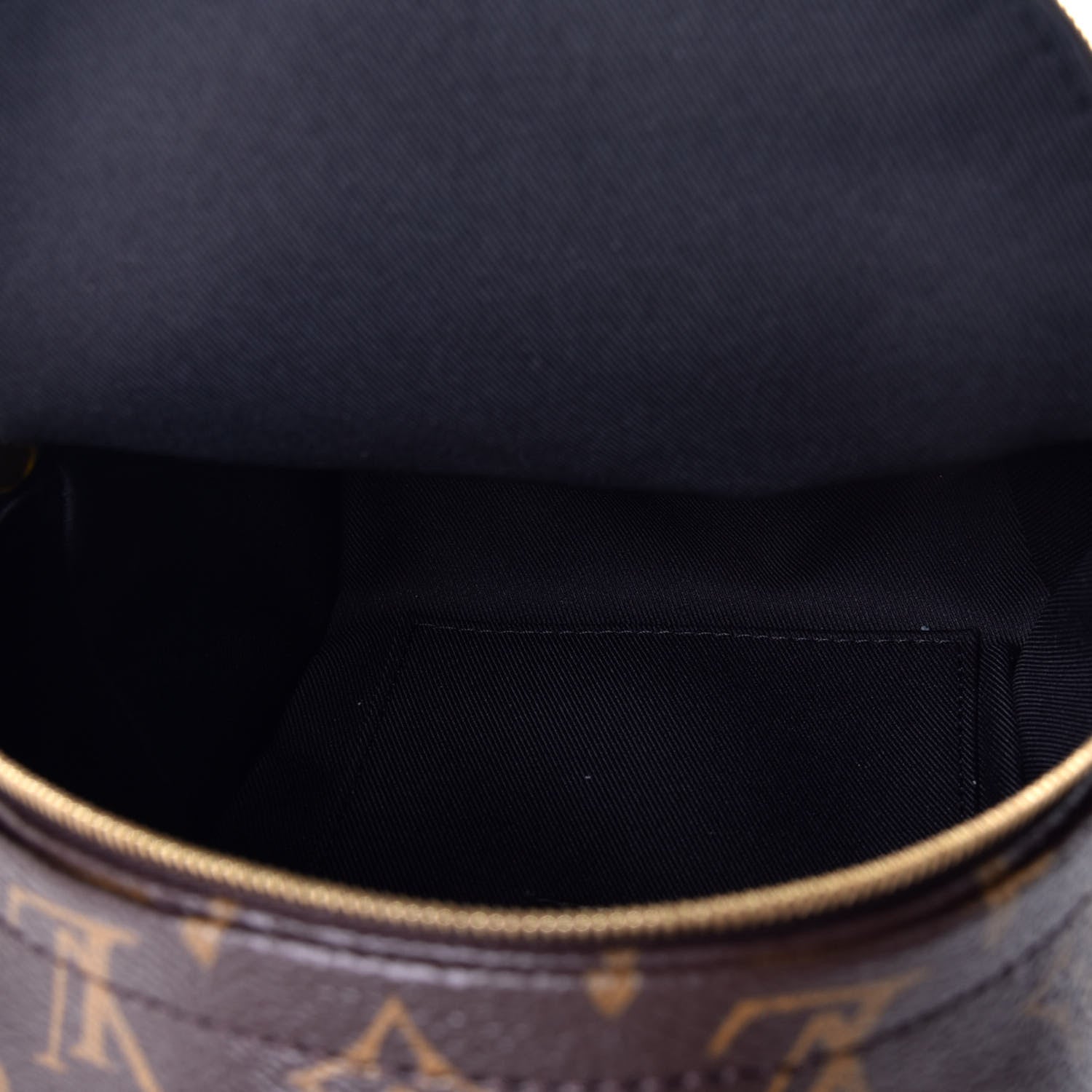 Louis Vuitton Monogram Palm Springs Backpack Mini 4 of 8