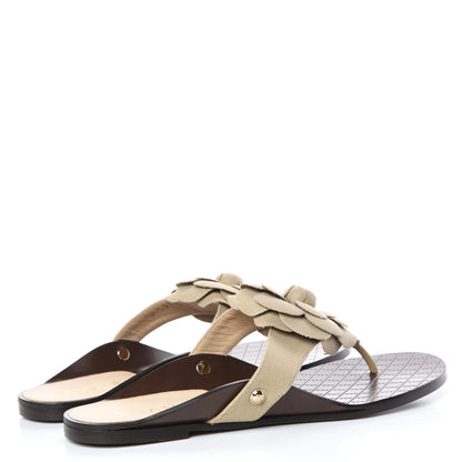 Chanel Fabric Camellia Thong Sandals 40 Beige 4 of 9
