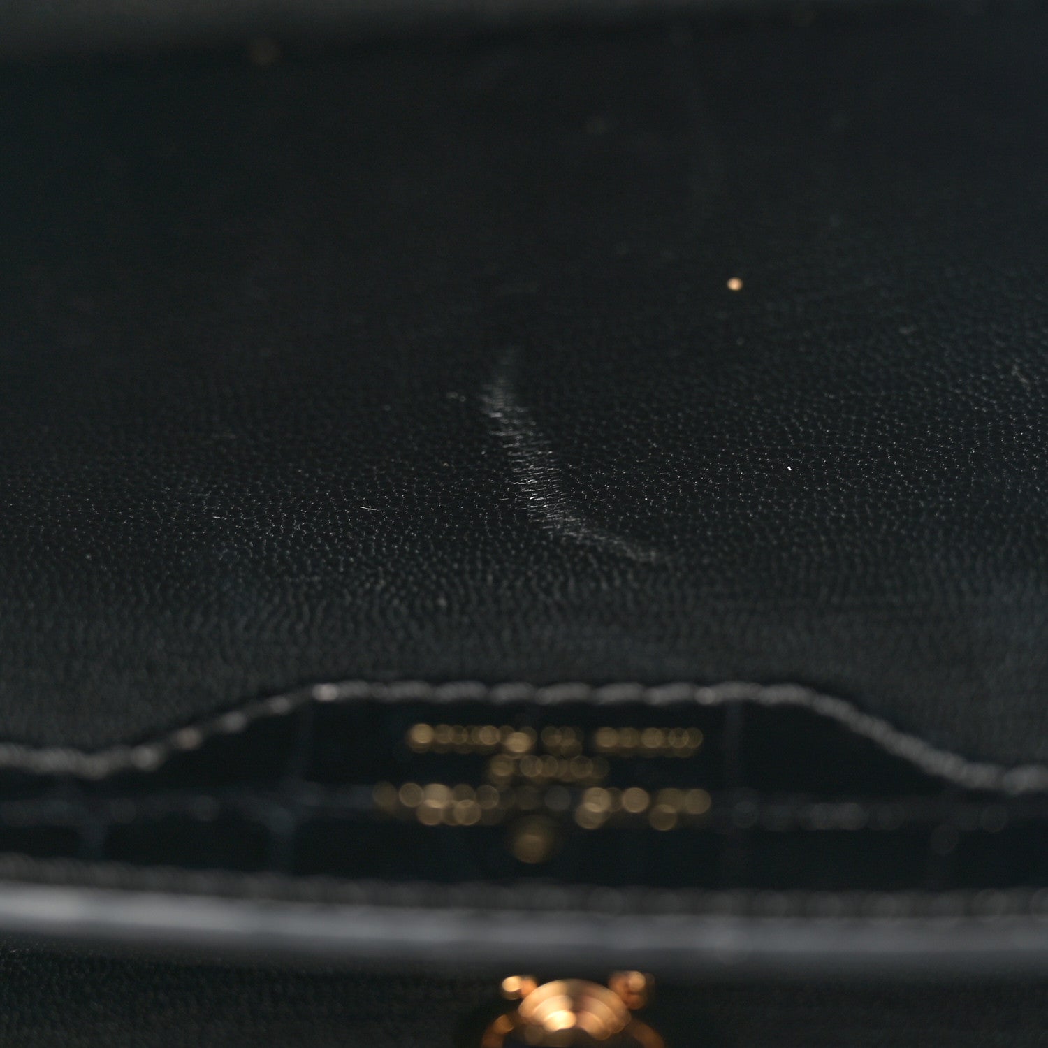 Louis Vuitton Brilliant Alligator Capucines PM Black 12 of 13