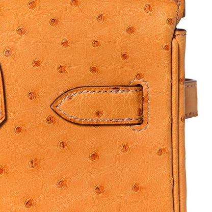 Hermes Ostrich Birkin 30 Abricot 12 of 35