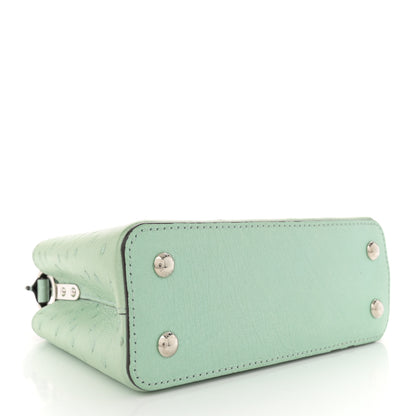 Louis Vuitton Iridescent Ostrich Capucines Mini Vert d’Eau 4 of 13