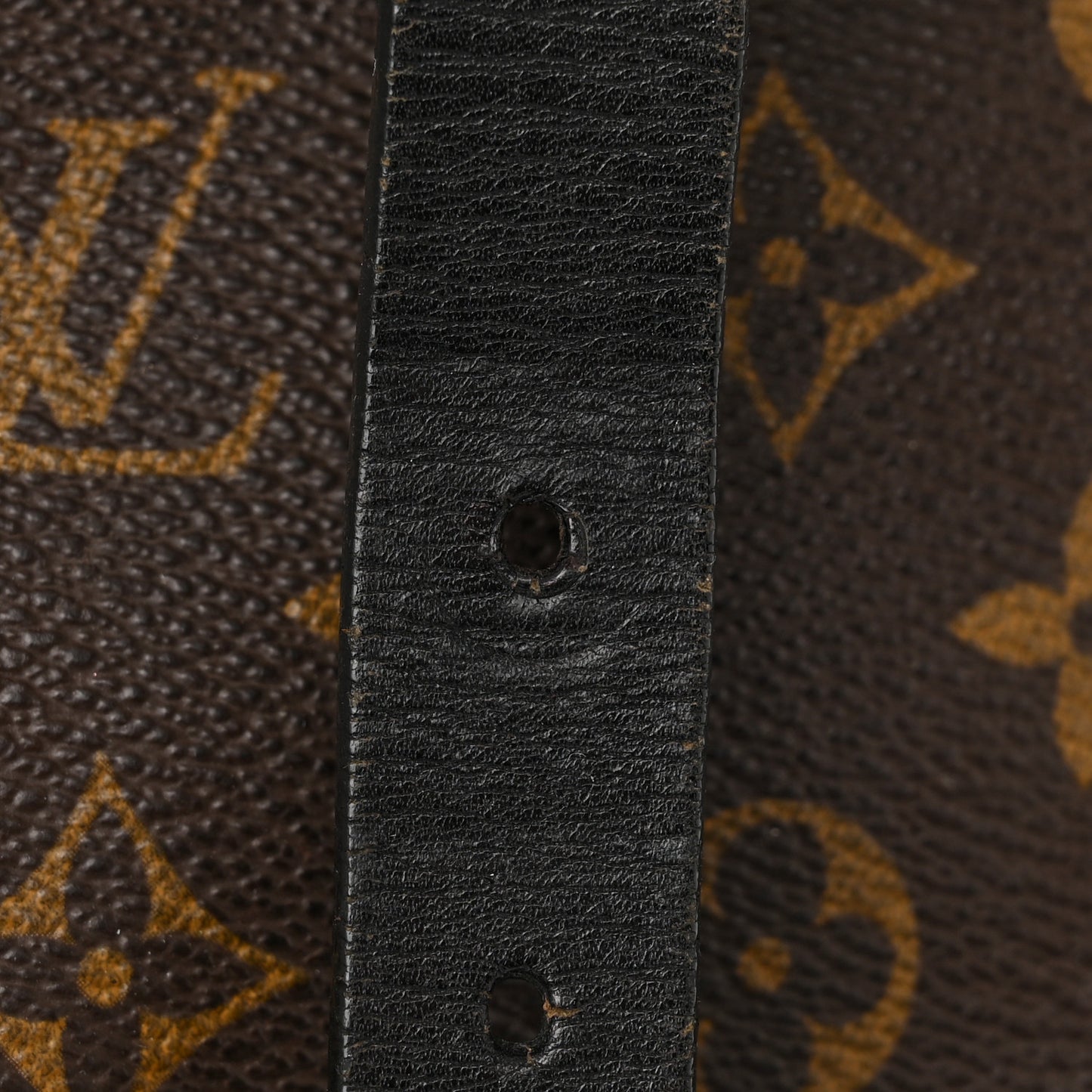 Monogram Macassar Christopher Backpack