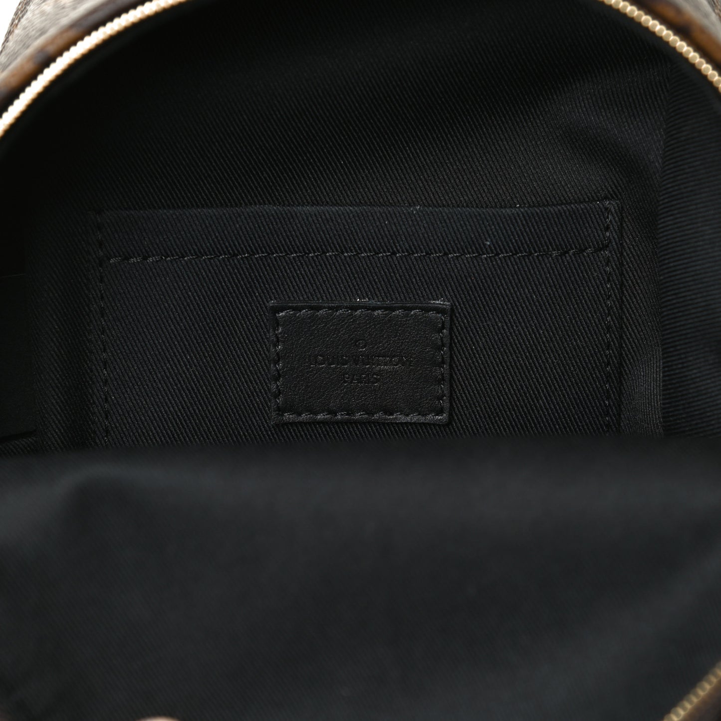 Monogram Palm Springs Backpack Mini