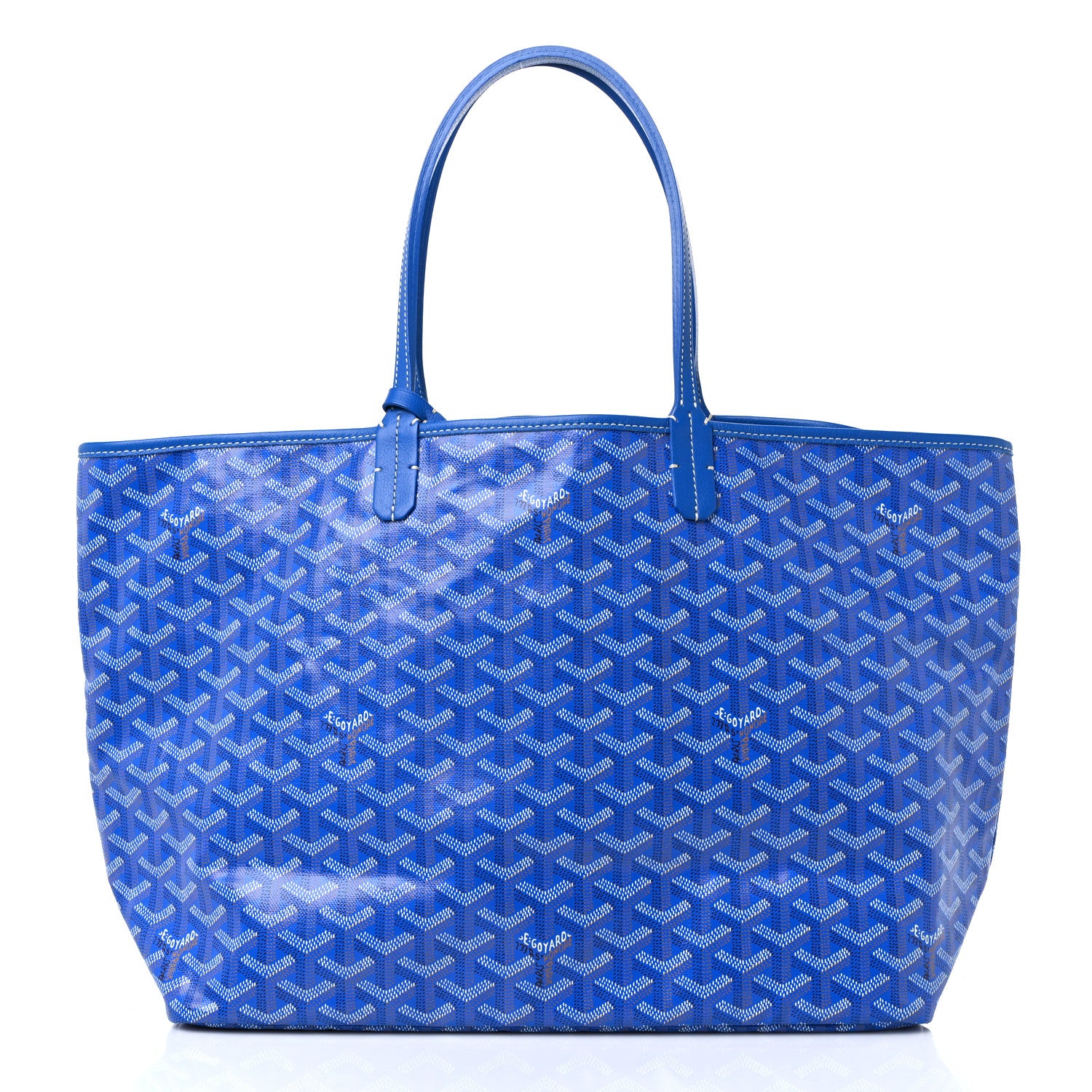 Goyard Goyardine Saint Louis PM Sky Blue 3 of 9