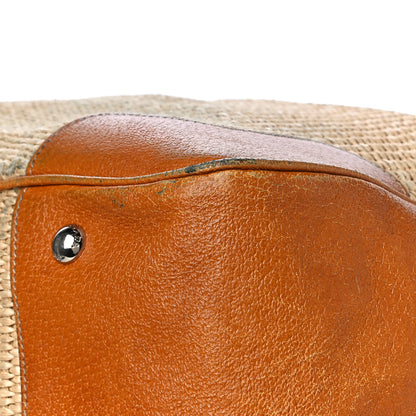 Prada Paglia Cinghiale Frame Bag Naturale Cuoio 14 of 18