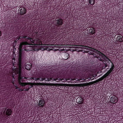 Hermes Ostrich Birkin 30 Violine 12 of 31