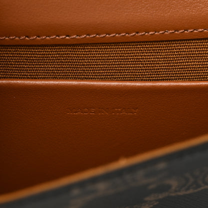 Celine Triomphe Canvas Multipochette Tan 7 of 11