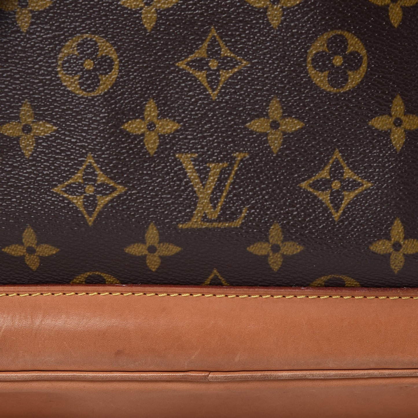 Monogram Montsouris GM Backpack