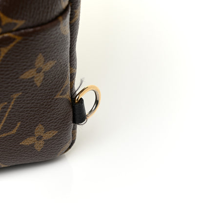 Louis Vuitton Monogram Palm Springs Backpack Mini 13 of 15